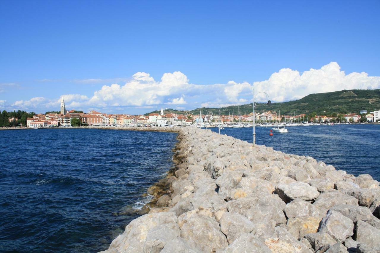 Sandi Nastanitev v družini Izola